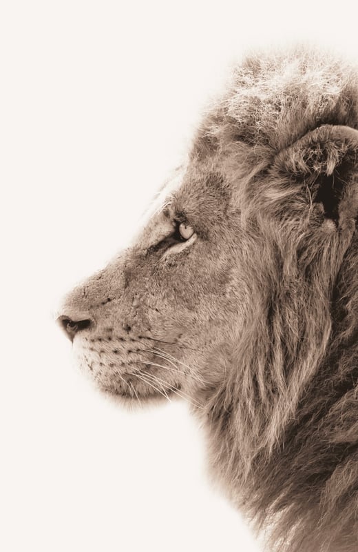 Courage (1000 x 2000 px).png-1